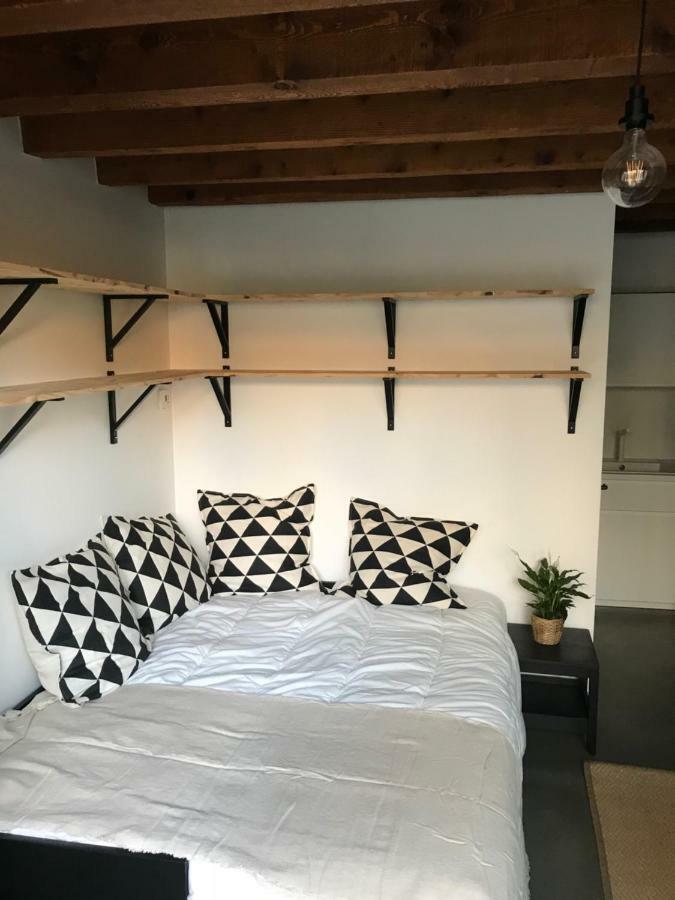 Le Studio Du Moulin Lejlighed Chambéry Eksteriør billede